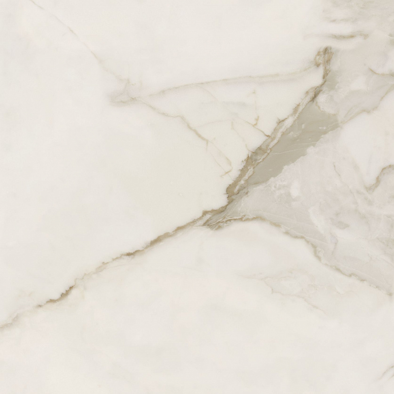 Pav. Calacatta gold lux 60x60